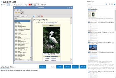 GoldenDict - Flamory bookmarks and screenshots