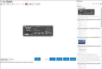 Icy Radio - Flamory bookmarks and screenshots