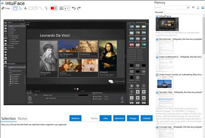 IntuiFace - Flamory bookmarks and screenshots