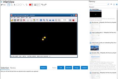 IrfanView - Flamory bookmarks and screenshots