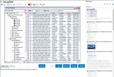 IssueNet - Flamory bookmarks and screenshots