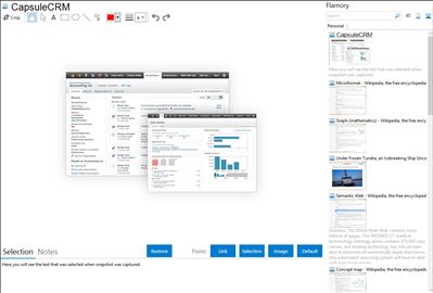 CapsuleCRM - Flamory bookmarks and screenshots