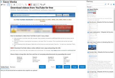 Save Media - Flamory bookmarks and screenshots
