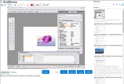 KoolMoves - Flamory bookmarks and screenshots