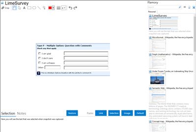 LimeSurvey - Flamory bookmarks and screenshots