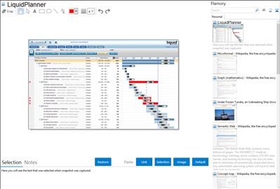 LiquidPlanner - Flamory bookmarks and screenshots