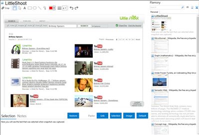 LittleShoot - Flamory bookmarks and screenshots