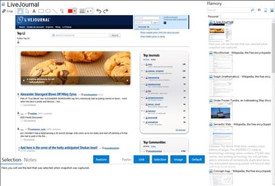LiveJournal - Flamory bookmarks and screenshots