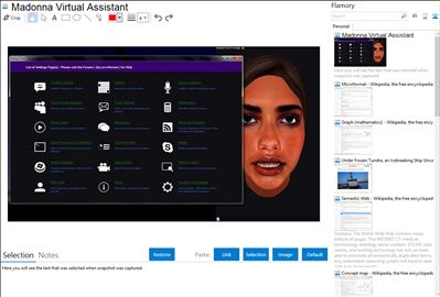 Madonna Virtual Assistant - Flamory bookmarks and screenshots