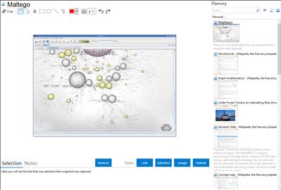 Maltego - Flamory bookmarks and screenshots