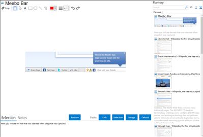 Meebo Bar - Flamory bookmarks and screenshots
