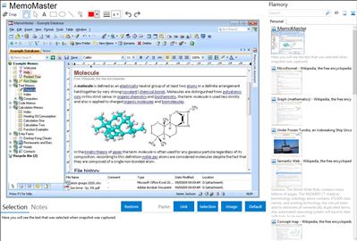 MemoMaster - Flamory bookmarks and screenshots