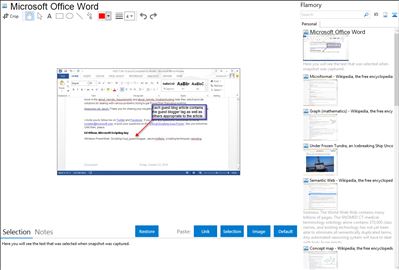 Microsoft Office Word - Flamory bookmarks and screenshots