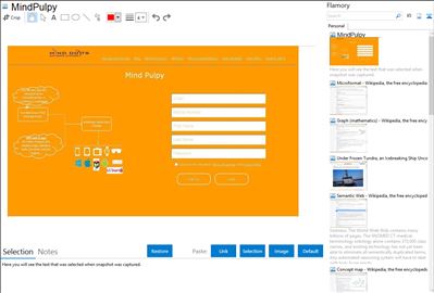 MindPulpy - Flamory bookmarks and screenshots