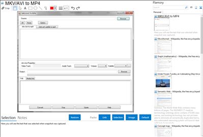 MKV/AVI to MP4 - Flamory bookmarks and screenshots