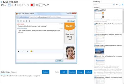 MyLiveChat - Flamory bookmarks and screenshots