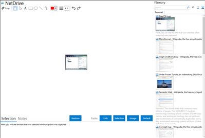 NetDrive - Flamory bookmarks and screenshots