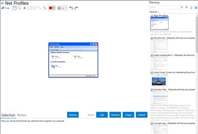 Net Profiles - Flamory bookmarks and screenshots