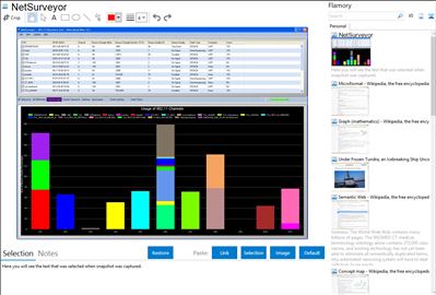 NetSurveyor - Flamory bookmarks and screenshots