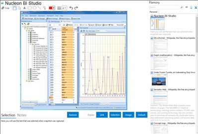 Nucleon BI Studio - Flamory bookmarks and screenshots