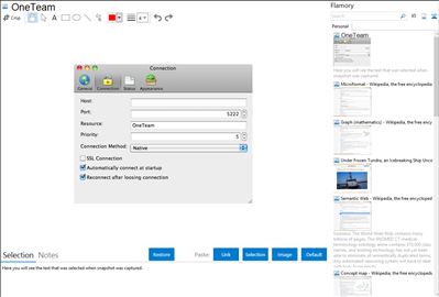 OneTeam - Flamory bookmarks and screenshots