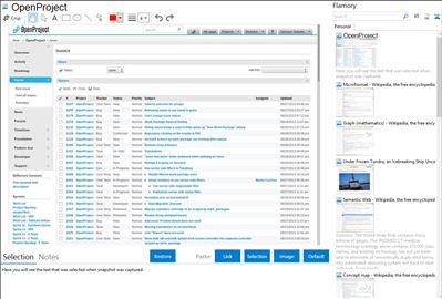 OpenProject - Flamory bookmarks and screenshots