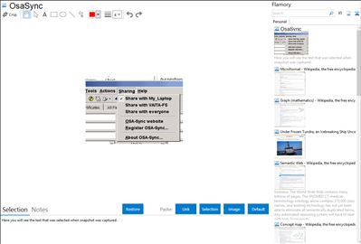 OsaSync - Flamory bookmarks and screenshots