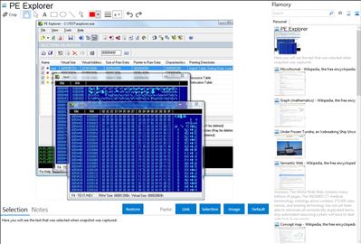 PE Explorer - Flamory bookmarks and screenshots