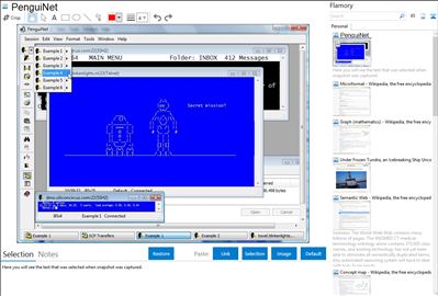 PenguiNet - Flamory bookmarks and screenshots