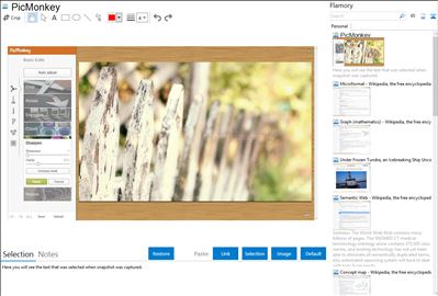 PicMonkey - Flamory bookmarks and screenshots