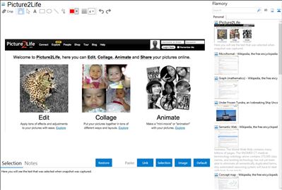 Picture2Life - Flamory bookmarks and screenshots