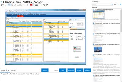 PlanningForce Portfolio Planner - Flamory bookmarks and screenshots