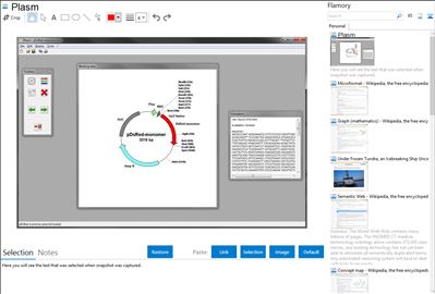 Plasm - Flamory bookmarks and screenshots