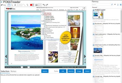 POKATreader - Flamory bookmarks and screenshots