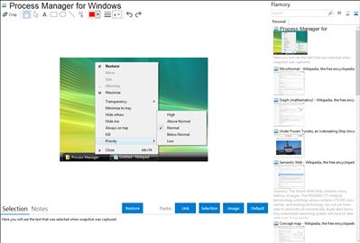 Process Manager for Windows - Flamory bookmarks and screenshots