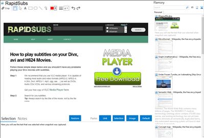 RapidSubs - Flamory bookmarks and screenshots