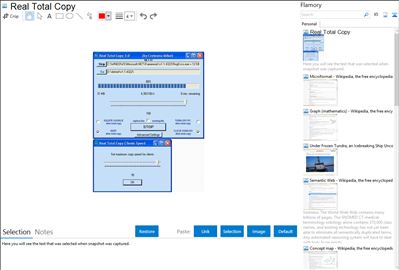 Real Total Copy - Flamory bookmarks and screenshots