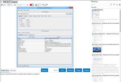 RESTClient - Flamory bookmarks and screenshots