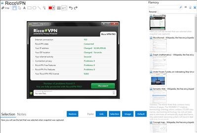 RiccoVPN - Flamory bookmarks and screenshots