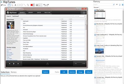RipTunes - Flamory bookmarks and screenshots