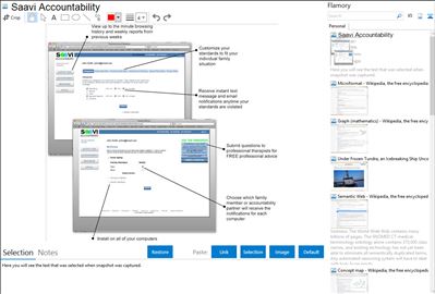 Saavi Accountability - Flamory bookmarks and screenshots