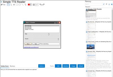 Simple TTS Reader - Flamory bookmarks and screenshots