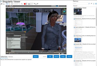 Singularity Viewer - Flamory bookmarks and screenshots