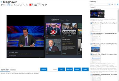 SlingPlayer - Flamory bookmarks and screenshots