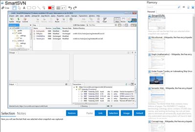 SmartSVN - Flamory bookmarks and screenshots