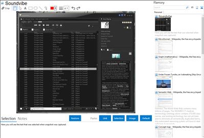 Soundvibe - Flamory bookmarks and screenshots