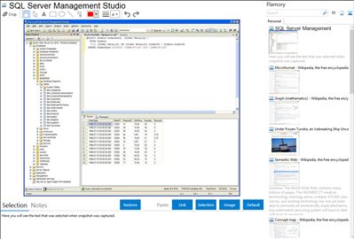SQL Server Management Studio - Flamory bookmarks and screenshots
