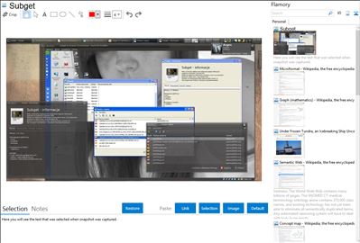 Subget - Flamory bookmarks and screenshots