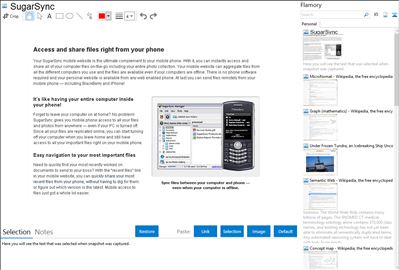 SugarSync - Flamory bookmarks and screenshots