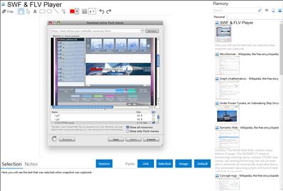 SWF & FLV Player - Flamory bookmarks and screenshots